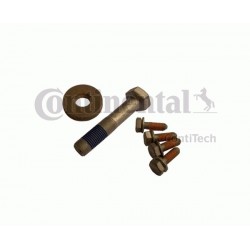 Șuruburi roată curea Citroën 1,9D M14x70 x1 M6x20 x4 MS14