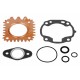 Set garnituri motor partea superioară Moto. Aprilia Scarabeo Ditech 50 2001 - 2004 (6 buc.) P400010600025