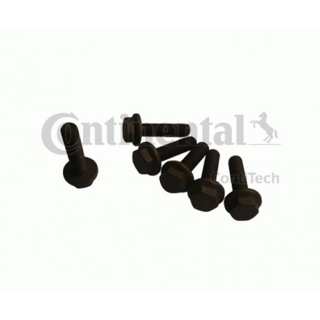 Șuruburi pentru fulie BMW 2,5TD/TDS M8X31 (6 bucăți) MS22