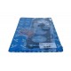 Set garnituri motor top end Kawasaki ZX-10R 1000 2008-2010 (4 buc.) fără garnitură capac supape