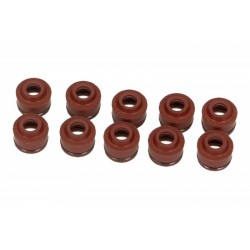 Set garnituri supape moto Polaris Sportsman 2007-2013 (10 buc.)