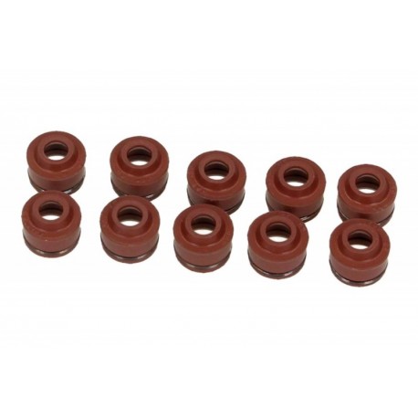 Set garnituri supape moto Polaris Sportsman 2007-2013 (10 buc.)