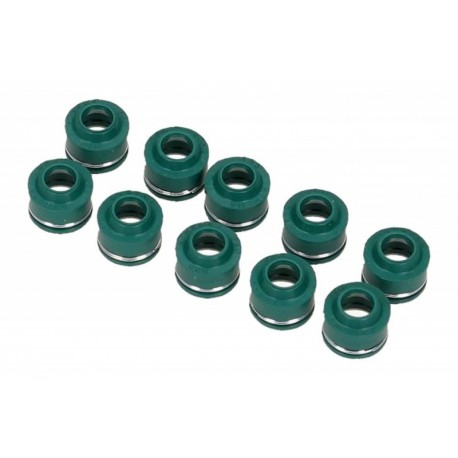 Set garnituri supape moto Polaris Ranger 570 RZR - UTV 2012-2013 (10 buc.)