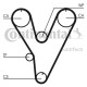 Curea de distribuție Mitsubishi 3,0 MD111427