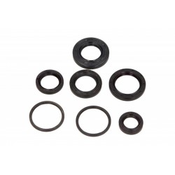 Set garnituri de etanșare ulei motor Aprilia Habana Custom 5350 1999 - 2001 (7 buc.) P400010400022