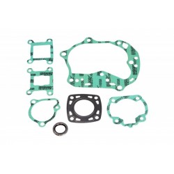 Set garnituri motor complet Kymco B&W / Euro250 2002 - 2003 (8 piese) P400210850116