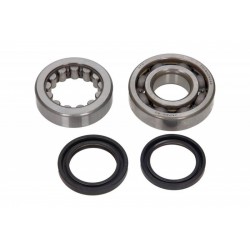 Set garnituri arbore cotit cu rulmenți motocicletă Honda CRE 450 X IE 2007-2008 P400210444215