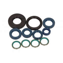 Set de garnituri de etanșare ulei motor complet motocicletă Ducati 944 ST2 2001 (11 piese) P400110400919