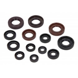 Set garnituri de etanșare ulei motor Aprilia RS 50 2006-2013 (13 buc.) P400105400050