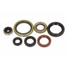 Set garnituri de etanșare ulei motor Husqvarna 250 / KTM TC 250 -17