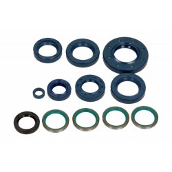 Set garnituri de etanșare ulei motor complet motocicletă Ducati Monster 2003-2004 (12 buc.)