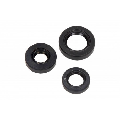 Set de garnituri de ulei motor Kawasaki KLX 250 1993-1998 P400250400006