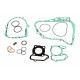 Set garnituri motor complet Yamaha FM 50 S Raptor 2004-2008 (12 buc.)