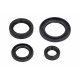 Set garnituri etanșare ulei motor complet motocicletă Honda FES Foresight 4T LC 250 1998-1999 (4 buc.) P400210400055