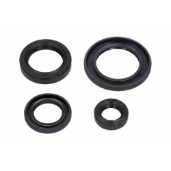 Set garnituri etanșare ulei motor complet motocicletă Honda FES Foresight 4T LC 250 1998-1999 (4 buc.) P400210400055