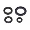 Set garnituri etanșare ulei motor complet motocicletă Honda FES Foresight 4T LC 250 1998-1999 (4 buc.) P400210400055