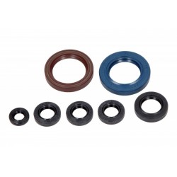 Set garnituri de etanșare ulei motor KTM EXC 250 Racing 2003-2006 P400270400002