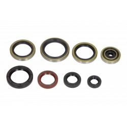 Set garnituri de etanșare ulei motor Husaberg TE 250 2011-2012 P400270400009