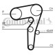 Curea de distribuție Fiat 1,6D M-Jet 55200072