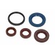 Set garnituri de etanșare ulei motor complet Gilera Easy Moving 50 1993 - 1998 (5 buc.) P400480400055