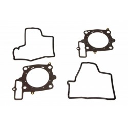 Set garnituri motor complet motocicletă Aprilia RXV 550 2006-2011 P400010850028