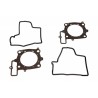 Set garnituri motor complet motocicletă Aprilia RXV 550 2006-2011 P400010850028