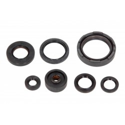 Set garnituri de etanșare ulei motor Yamaha WR 250 1988-1997 P400485400254