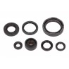 Set garnituri de etanșare ulei motor Yamaha WR 250 1988-1997 P400485400254
