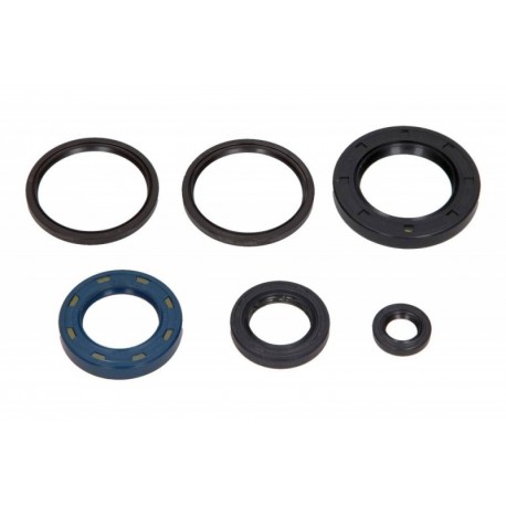 Set garnituri de etanșare ulei motor complet motocicletă Kymco B&W 250 2000 (5 buc.) P400210400231