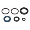 Set garnituri de etanșare ulei motor complet motocicletă Kymco B&W 250 2000 (5 buc.) P400210400231