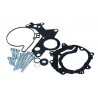 Set reparare pompă vacuum Volkswagen 2,0 TDI simering 11 mm 038 145 209N