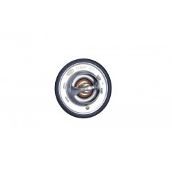 Termostat Jeep 92C Grand Cherokee 4494469