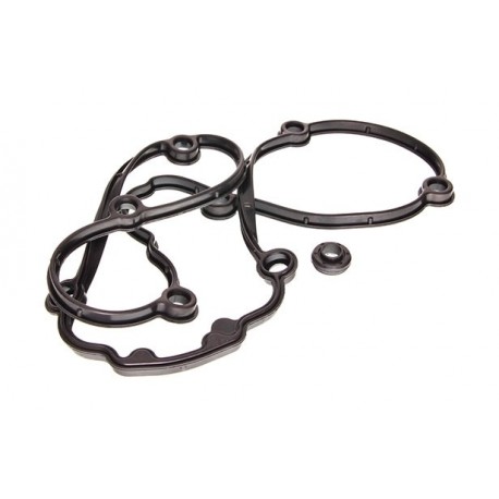Set garnituri capac supape Volkswagen Golf 1.6 2005 06B 103 483G