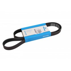 Curea multișanț 6PK1300