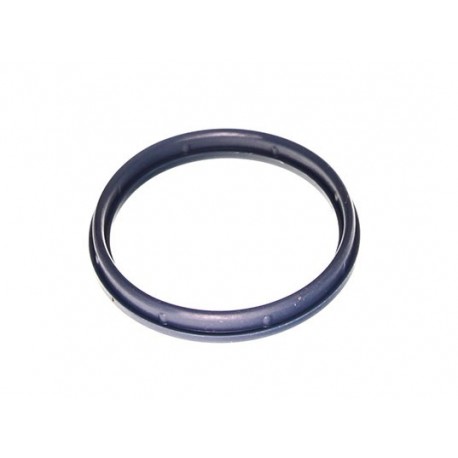 Garnitură carcasă colector admisie Ford Transit 2.4TDCi 04- 9809876580