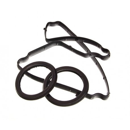 Set garnituri capac supape Citroen 2,2 HDI 06- 0249.E5