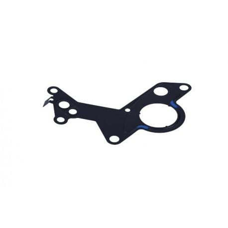 Garnitură pompă vacuum Volkswagen Golf 1.9 TDI 00- 038 145 215
