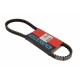 Curea de transmisie moto 16,3x8x828 00G02602371