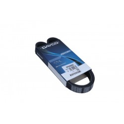 Curea multi-striată 6PK989EE