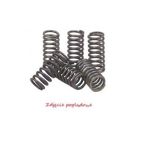 Arcuri ambreiaj moto Gas-Gas EC 450 FSR/FSE (4T) Enduro (05-08)