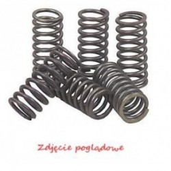 Arcuri ambreiaj moto Kawasaki Z 1000 (77-80) / KLE 650 Versys (07-10) / ER-6F (06-11) / ER-5 (97-07)