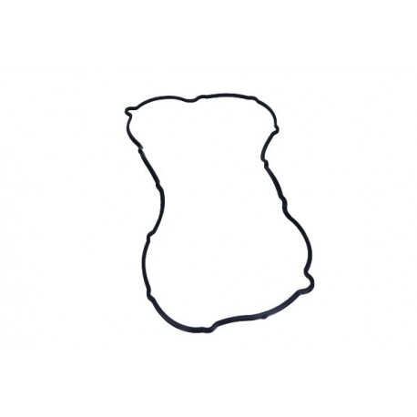 Garnitură capac supape Ford Transit 2,0 08- 0249.E9
