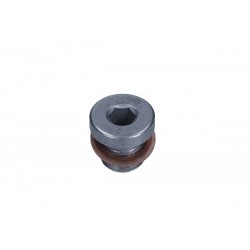 Șurub de scurgere ulei N 902 818 02-
