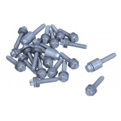 Set șuruburi capac supape BMW Seria 1/3/5 2,5 3,0B 05-12 11 12 0 409 288