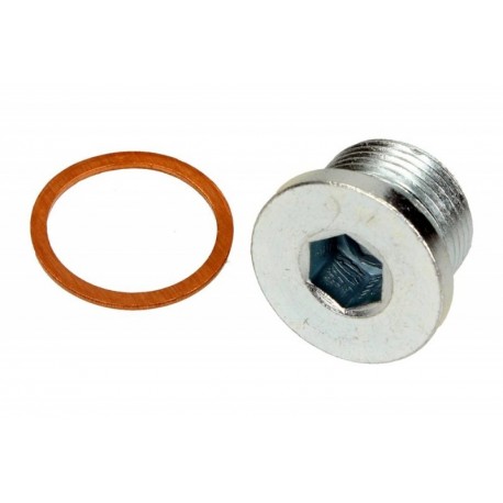 Șurub de scurgere ulei Fiat cu garnitură 16993411