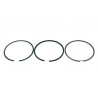 Set segmenti piston DB OM642 83,00 STD A6420300023