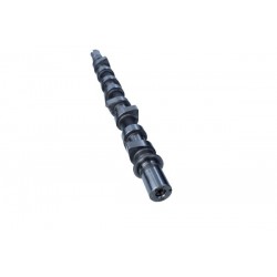 Arbore cu came Renault Clio 01- 1300100Q0R
