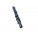 Arbore cu came Renault Clio 01- 1300100Q0R