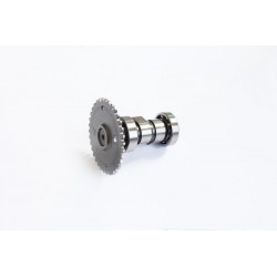 Arbore cu came scuter moto GY6-50 4T complet IP000156