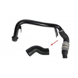 Conductă intercooler Citroën Jumper / Fiat Ducato / Peugeot Boxer (lungă) 1359961080